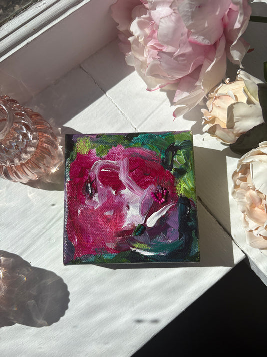 The Garden Glimmers