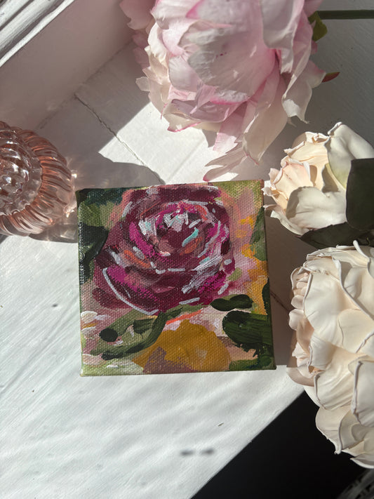 Petals in Light