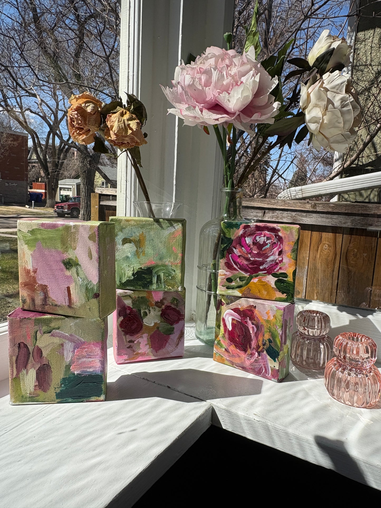 Daydream in Bloom