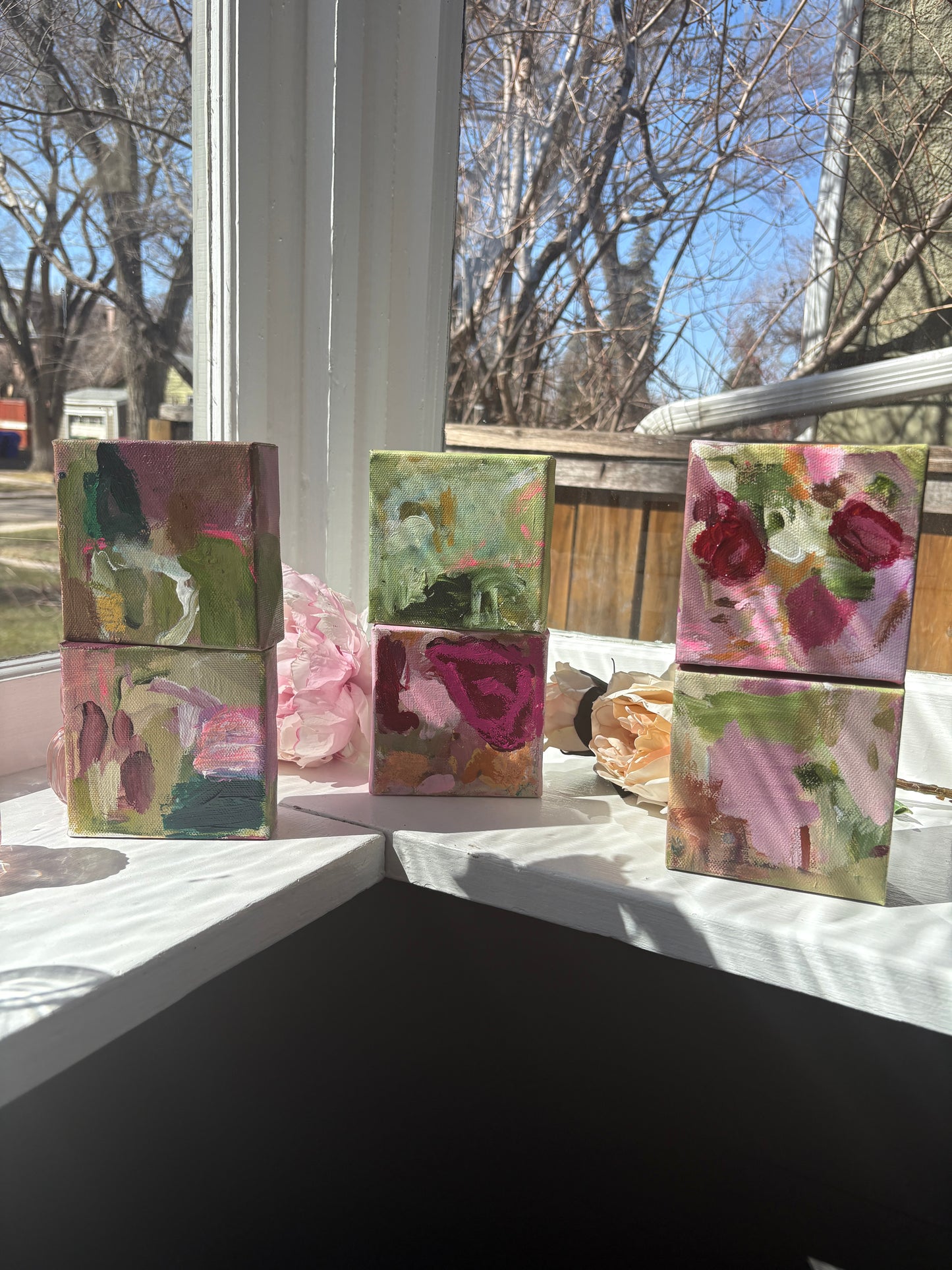 Daydream in Bloom