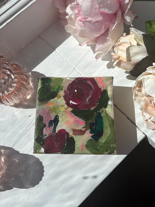 Afternoon Bloom